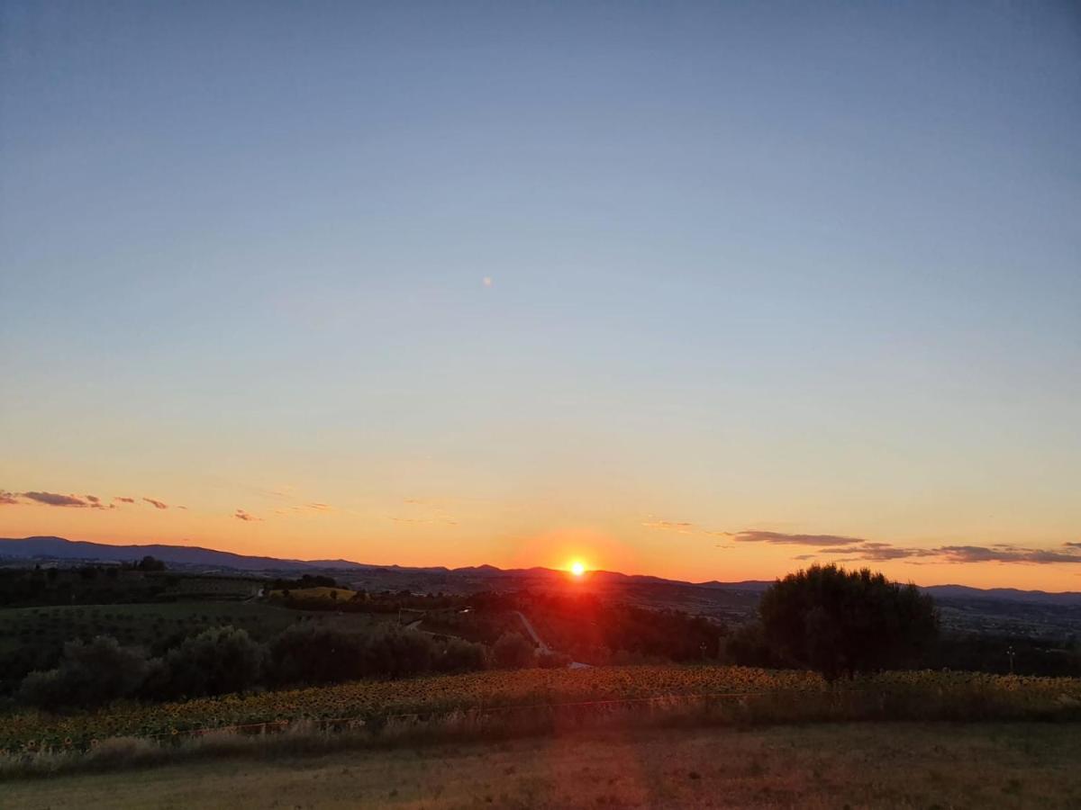 La Collina Bed and Breakfast Deruta Buitenkant foto